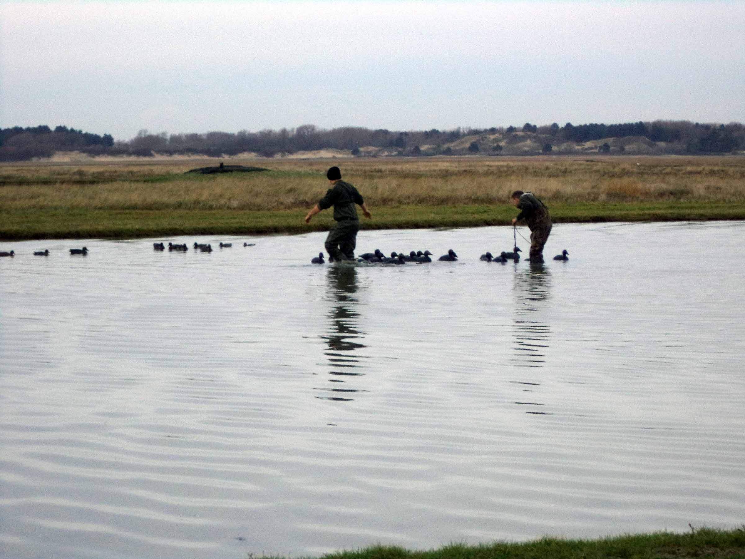 Chasse en Baie FortMahonPlage