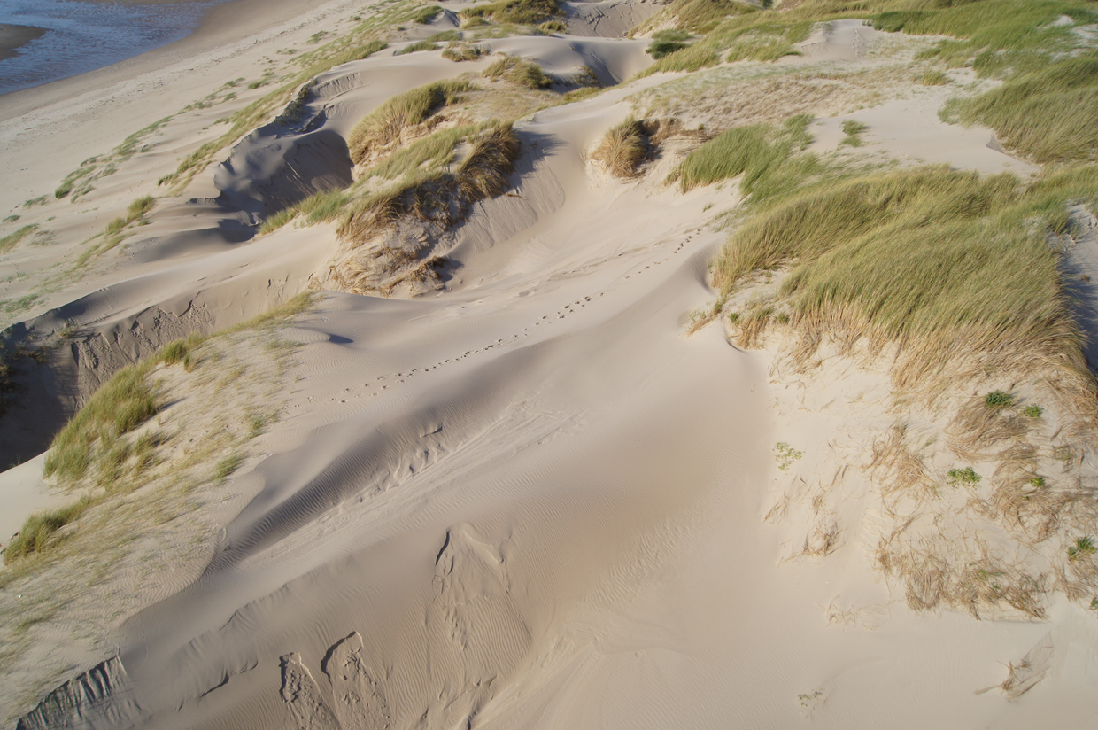 Résultat de recherche d'images pour "les dunes de fort mahon"